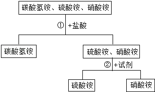 2024年11月22日 第7页